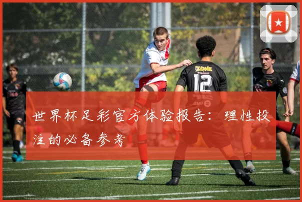世界杯足彩官方体验报告:理性投注的必备参考