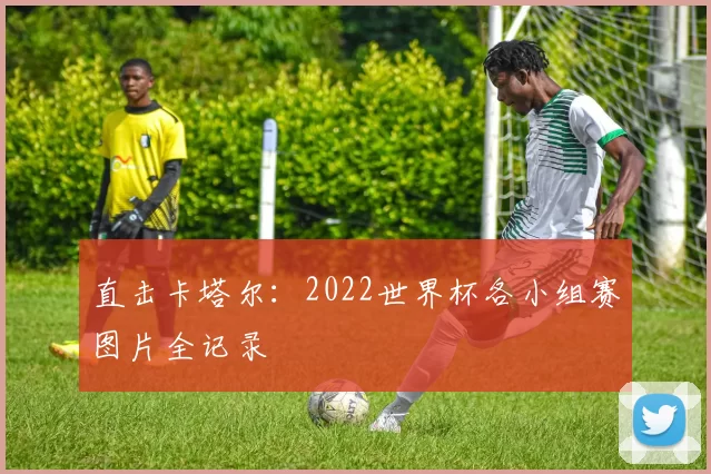 直击卡塔尔：2022世界杯各小组赛图片全记录