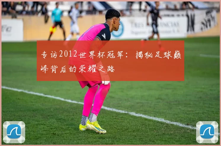 专访2012世界杯冠军：揭秘足球巅峰背后的荣耀之路