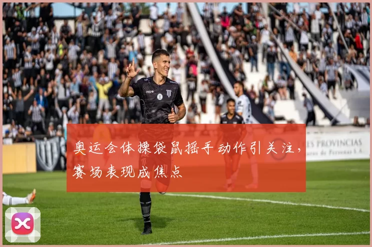 奥运会体操袋鼠摇手动作引关注，赛场表现成焦点