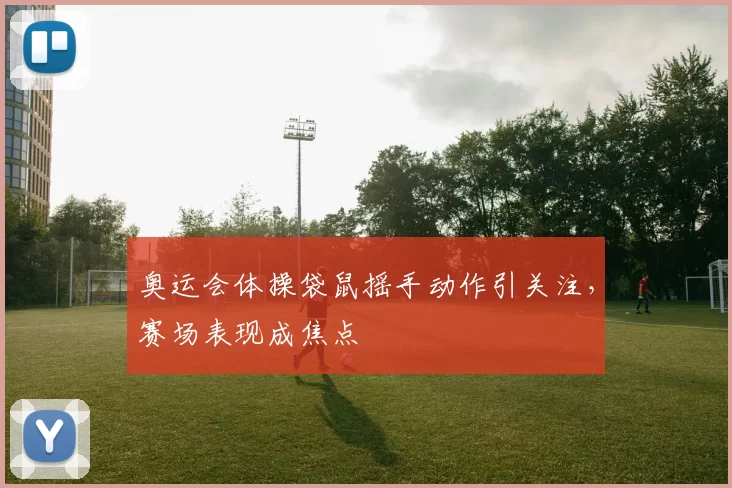 奥运会体操袋鼠摇手动作引关注,赛场表现成焦点